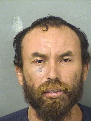  JERARD THOMAS TIGER Photo For  JERARD THOMAS TIGER