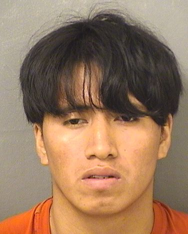  OSWALDO EFRAIN MATEOVAIL Results from Palm Beach County Florida for  OSWALDO EFRAIN MATEOVAIL