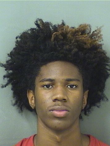  DAVID EDWARD JOHNSON Results from Palm Beach County Florida for  DAVID EDWARD JOHNSON