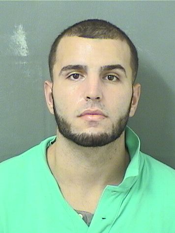  LOIUS C GAMBARDELLA Results from Palm Beach County Florida for  LOIUS C GAMBARDELLA