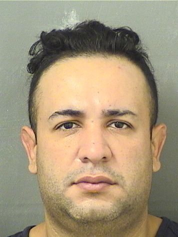  DIEGO ARMANDO ROMEROJARAMILLO Results from Palm Beach County Florida for  DIEGO ARMANDO ROMEROJARAMILLO