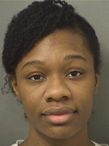  BRITNEY IRISH Results from Palm Beach County Florida for  BRITNEY IRISH