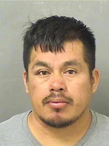  JUAN LINO ESTEBANMENDOZA Resultados de la busqueda para Palm Beach County Florida para  JUAN LINO ESTEBANMENDOZA