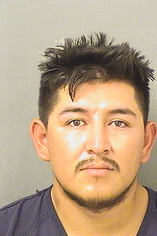  MAURO R FLORESHERNANDEZ Results from Palm Beach County Florida for  MAURO R FLORESHERNANDEZ