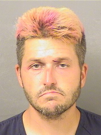  CHRISTOPHER DEGENNARO Results from Palm Beach County Florida for  CHRISTOPHER DEGENNARO