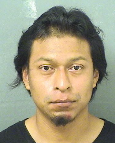  DIEGO WILIAM GUARCHAJTZIQUIN Results from Palm Beach County Florida for  DIEGO WILIAM GUARCHAJTZIQUIN