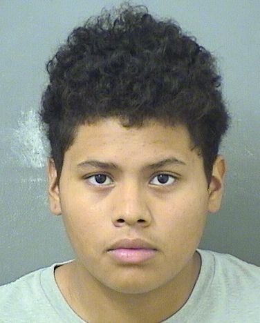  OSCAR A CARCAMO Results from Palm Beach County Florida for  OSCAR A CARCAMO