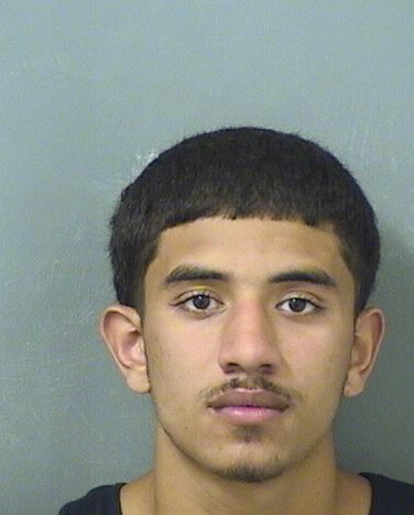  ROBERT ANTHONY DIEGUEZ Resultados de la busqueda para Palm Beach County Florida para  ROBERT ANTHONY DIEGUEZ