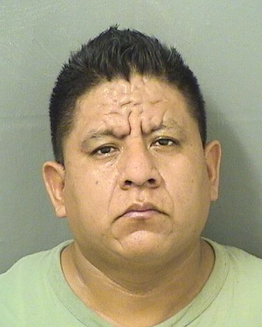  GABRIEL ZARATEGARCIA Results from Palm Beach County Florida for  GABRIEL ZARATEGARCIA