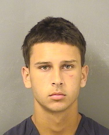  NELSON STEVEN HAWS Results from Palm Beach County Florida for  NELSON STEVEN HAWS