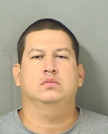  JAIME ANDRES OCAMPOROA Results from Palm Beach County Florida for  JAIME ANDRES OCAMPOROA