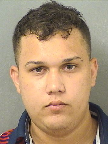  JOSE JAVIER CASANOVABOHORQUEZ Results from Palm Beach County Florida for  JOSE JAVIER CASANOVABOHORQUEZ