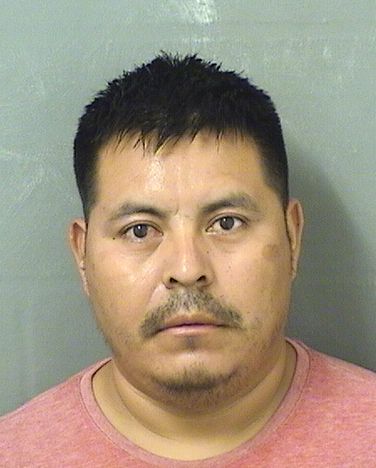  HECTOR VELASQUEZPEREZ Results from Palm Beach County Florida for  HECTOR VELASQUEZPEREZ