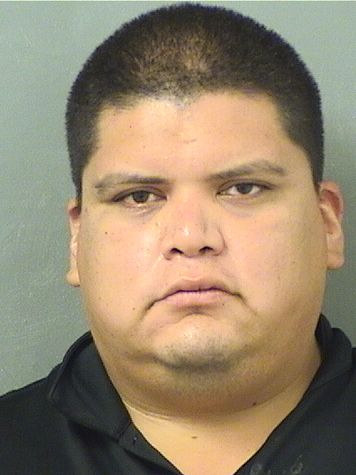  MARIO A Jr MUNOZ Results from Palm Beach County Florida for  MARIO A Jr MUNOZ