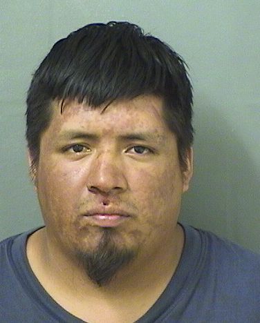 ALEXANDER LUCASPEREZ Photos For  ALEXANDER LUCASPEREZ  ALEXANDER LUCASPEREZ Photo For  ALEXANDER LUCASPEREZ