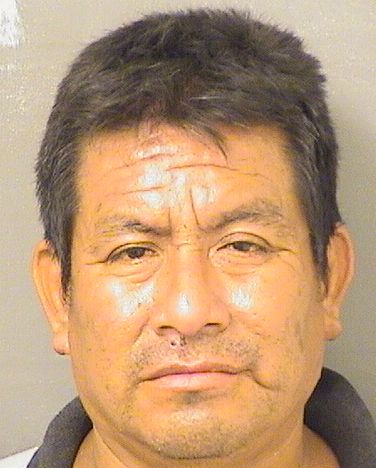  JOSE ALFREDO MEJIAGOMEZ Resultados de la busqueda para Palm Beach County Florida para  JOSE ALFREDO MEJIAGOMEZ