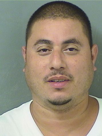  DAVID L RIVERA Results from Palm Beach County Florida for  DAVID L RIVERA