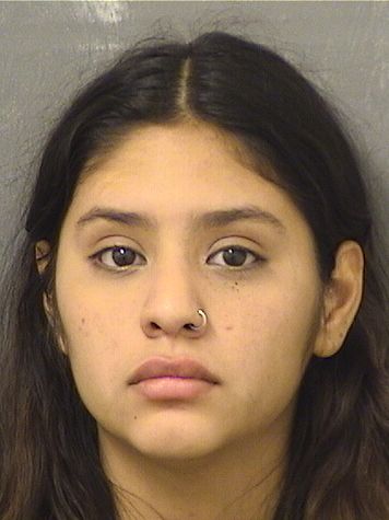  MICHELLE MARJORIE ANGULONUNEZ Results from Palm Beach County Florida for  MICHELLE MARJORIE ANGULONUNEZ