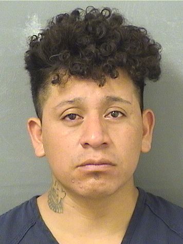  ELBER WUILSON Results from Palm Beach County Florida for  ELBER WUILSON