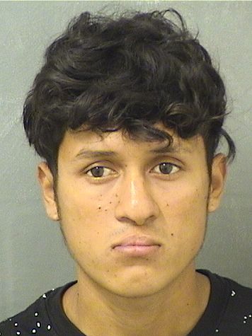  EDWIN RAMON FERMANESCOBAR Results from Palm Beach County Florida for  EDWIN RAMON FERMANESCOBAR