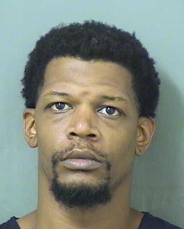  BRANDON PIERRE KING Results from Palm Beach County Florida for  BRANDON PIERRE KING