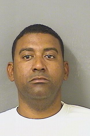  MICHEL K HERNANDEZMARIN Results from Palm Beach County Florida for  MICHEL K HERNANDEZMARIN