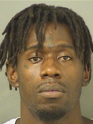  RYAN MARCEL REED Results from Palm Beach County Florida for  RYAN MARCEL REED