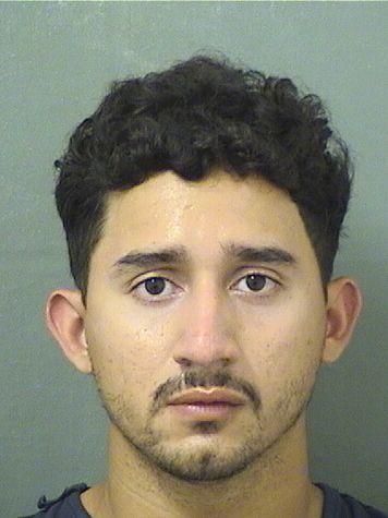  LEO JOSE NAVASBETANCOURT Results from Palm Beach County Florida for  LEO JOSE NAVASBETANCOURT