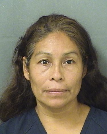  SANDRA AZUCENA LOPEZPEREZ Results from Palm Beach County Florida for  SANDRA AZUCENA LOPEZPEREZ