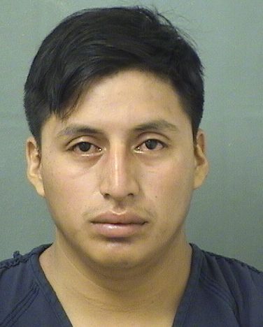  NELSON CHAJ GONZALEZ Resultados de la busqueda para Palm Beach County Florida para  NELSON CHAJ GONZALEZ
