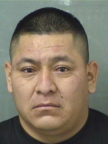  JOSE ANTONIO MALDONADODOMINGO Photo For  JOSE ANTONIO MALDONADODOMINGO