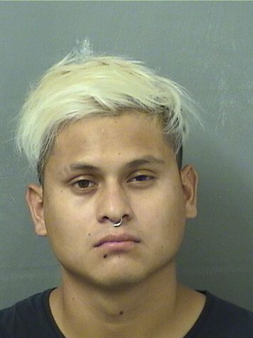  ADRIAN A MONTEJODELGADO Results from Palm Beach County Florida for  ADRIAN A MONTEJODELGADO