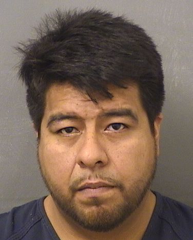  FERNANDO CASTELANFLOREZ Results from Palm Beach County Florida for  FERNANDO CASTELANFLOREZ