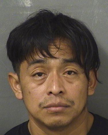  MARVIN DELEONLOPEZ Results from Palm Beach County Florida for  MARVIN DELEONLOPEZ