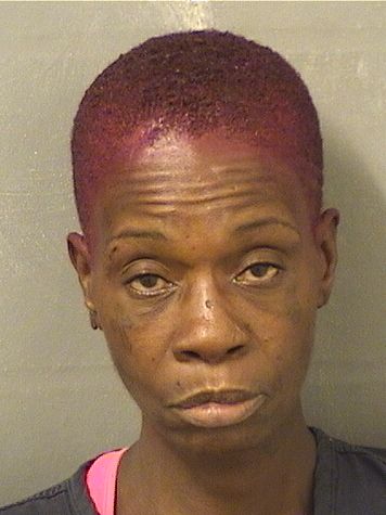  STEPHANIE RENEE JUDD Results from Palm Beach County Florida for  STEPHANIE RENEE JUDD