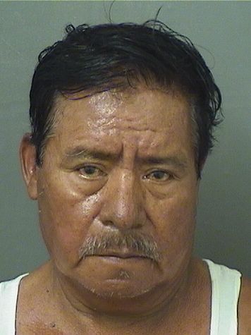 MARIO MARTINEZ resultados de la busqueda para Palm Beach County Florida para MARIO MARTINEZ MARIO MARTINEZ Resultados de la busqueda para Palm Beach County Florida para MARIO MARTINEZ