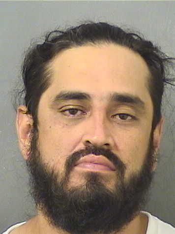  LUIS HERRERA Results from Palm Beach County Florida for  LUIS HERRERA