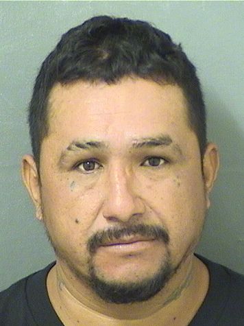 JUAN ANTONIO PENARAN Results from Palm Beach County Florida for  JUAN ANTONIO PENARAN