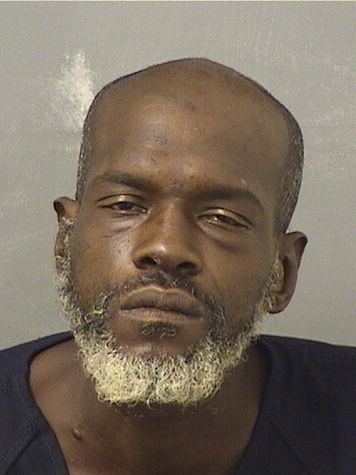  TORRI DAMONE ROBINSON Results from Palm Beach County Florida for  TORRI DAMONE ROBINSON