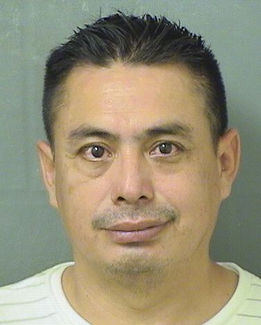  SANTOS B CAMPOSECO Resultados de la busqueda para Palm Beach County Florida para  SANTOS B CAMPOSECO