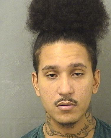  HENRY JAMES SLAPPEY Resultados de la busqueda para Palm Beach County Florida para  HENRY JAMES SLAPPEY