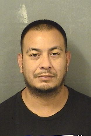  CHRISTOPHER VALEGA Results from Palm Beach County Florida for  CHRISTOPHER VALEGA