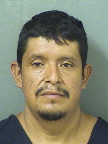  MILTON CARLOS VALESQUEZPEREZ Resultados de la busqueda para Palm Beach County Florida para  MILTON CARLOS VALESQUEZPEREZ