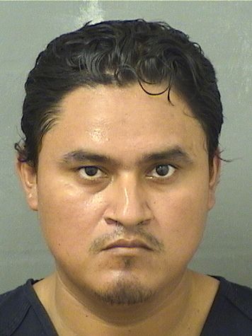  ANSELMO GUEVARACAMPOS Results from Palm Beach County Florida for  ANSELMO GUEVARACAMPOS