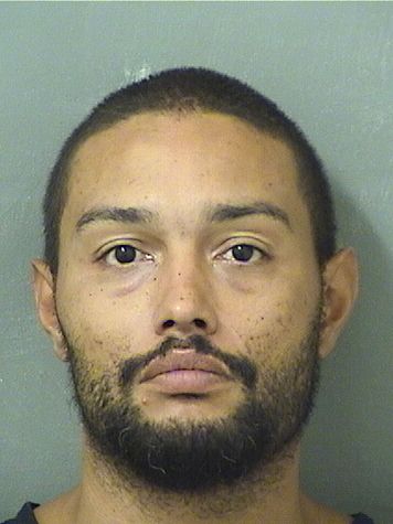  JAMIR RASHAD GARVIN Results from Palm Beach County Florida for  JAMIR RASHAD GARVIN