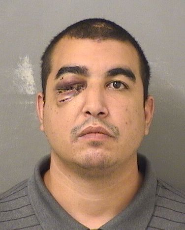  TREVOR RYAN BRIGNONICURLEY Results from Palm Beach County Florida for  TREVOR RYAN BRIGNONICURLEY