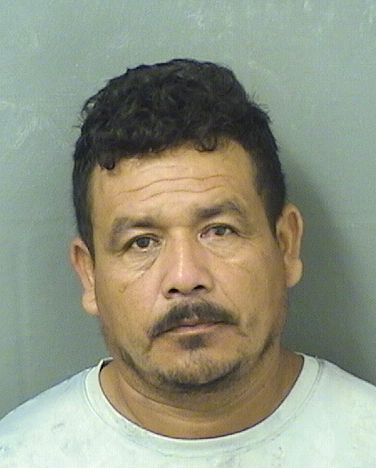 JOSE LOPEZPEREZ Results from Palm Beach County Florida for JOSE LOPEZPEREZ JOSE LOPEZPEREZ Results from Palm Beach County Florida for JOSE LOPEZPEREZ