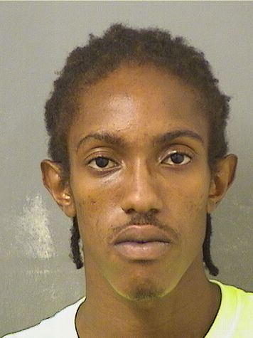  DAVID RICHARD WILLIAMS Results from Palm Beach County Florida for  DAVID RICHARD WILLIAMS