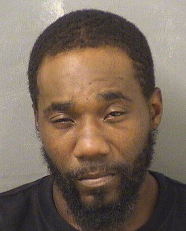  JEFFREY B WILLIAMSON Results from Palm Beach County Florida for  JEFFREY B WILLIAMSON