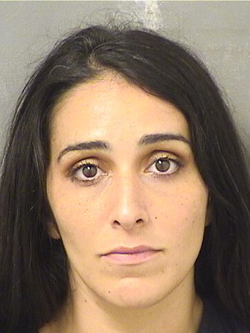  AMANDA BRITTANY LEVINE Results from Palm Beach County Florida for  AMANDA BRITTANY LEVINE